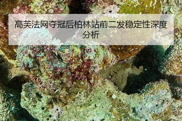 高芙法网夺冠后柏林站前二发稳定性深度分析